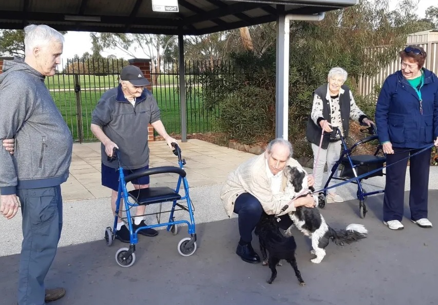 How to Navigate the Complex World of Aged Care with Confidence  