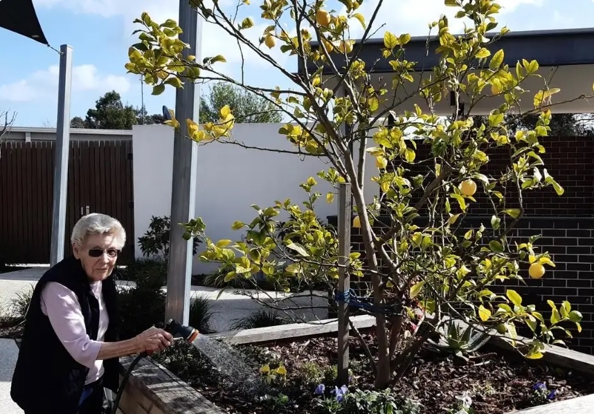 Permanent Care Mornington